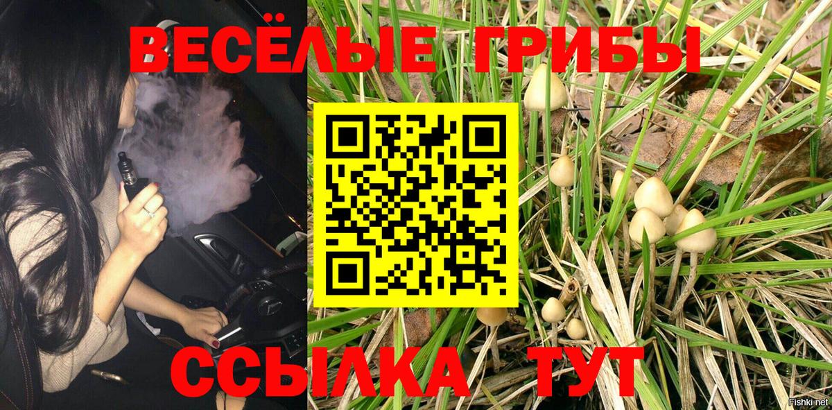 Псилоцибиновые грибы мицелий Елабуга